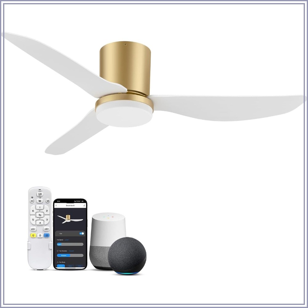 Smart Ceiling Fan - 42 Inch Smart Ceiling Fan with