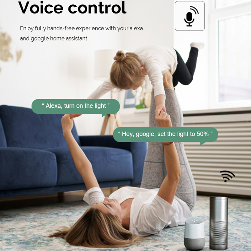 DIY  Wifi Smart Dimmer Switch  - Smart Home Web avis et prix