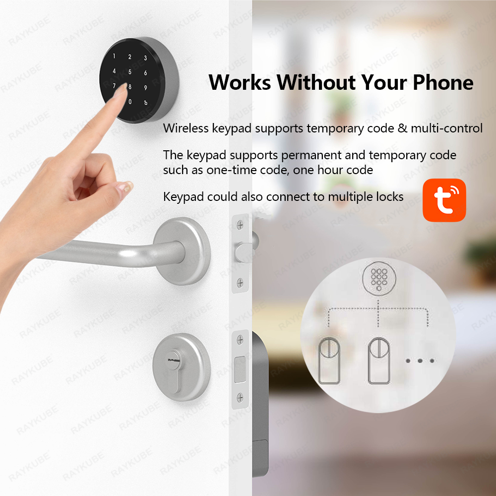 RAYKUBE A1 Pro Tuya BEL Smart  - Smart Home Door Lock avis et prix