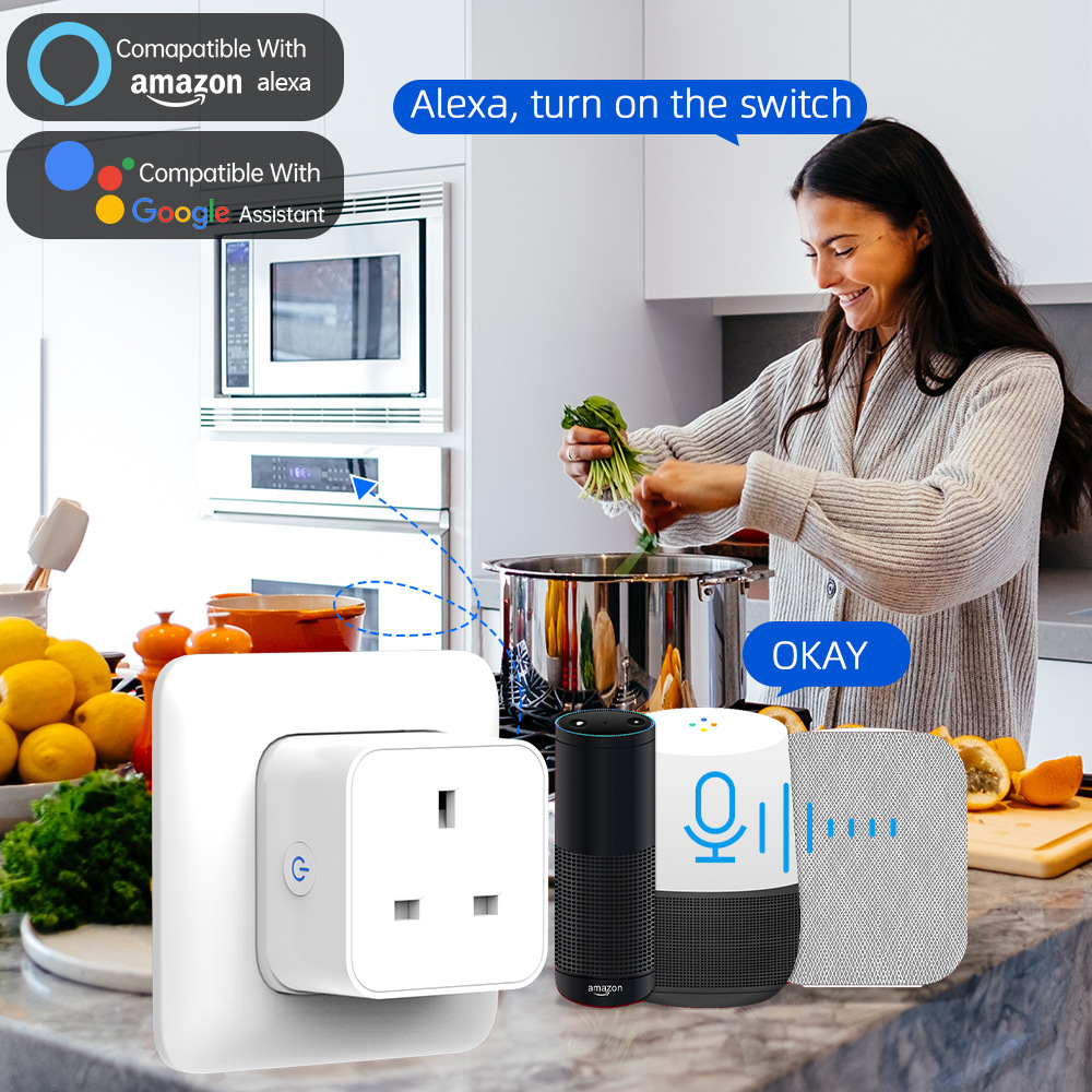 Tuya Smart Socket 16A/20A WiFi - Smart Home Wiser avis et prix
