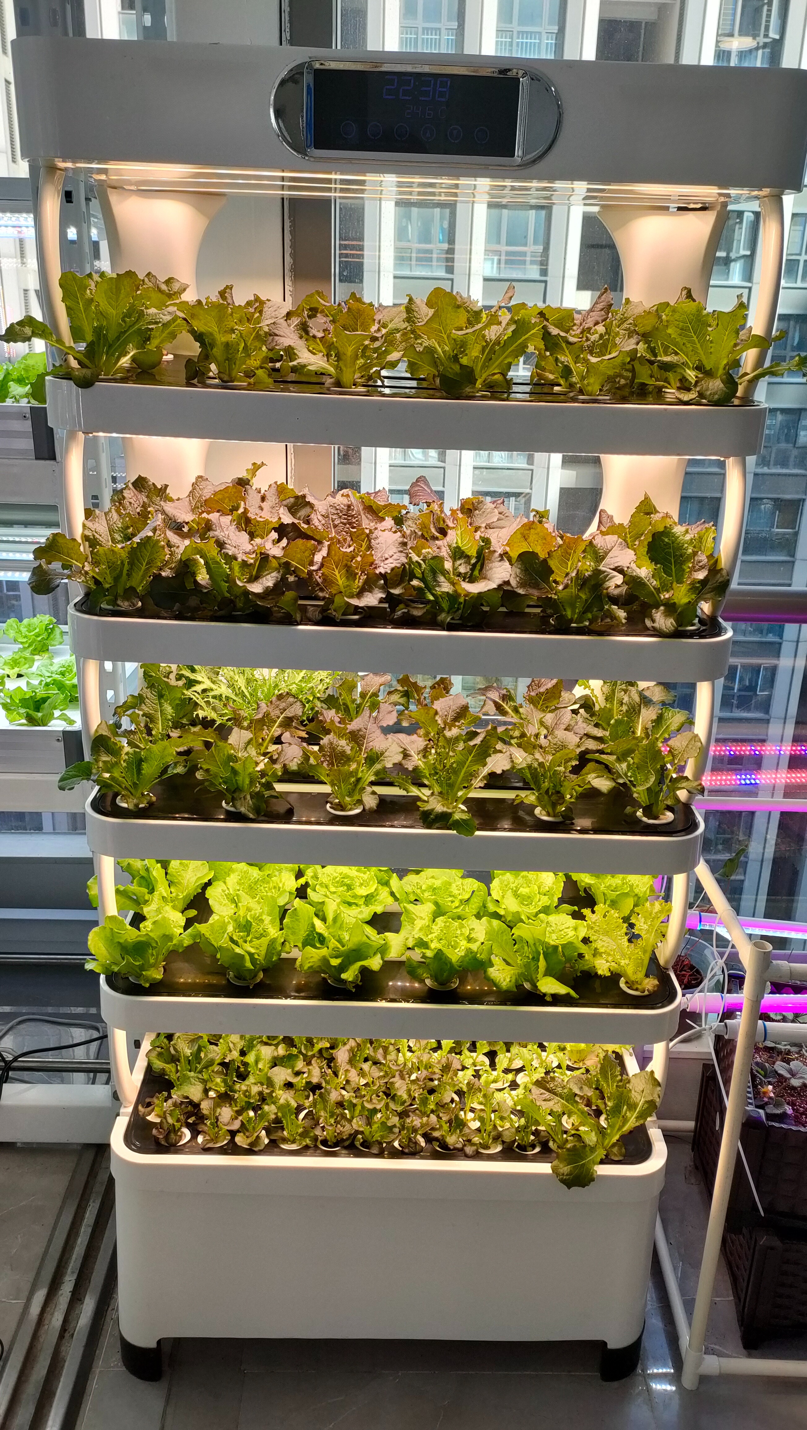 Intelligent Hydroponic Growing - Smart Home Uses avis et prix