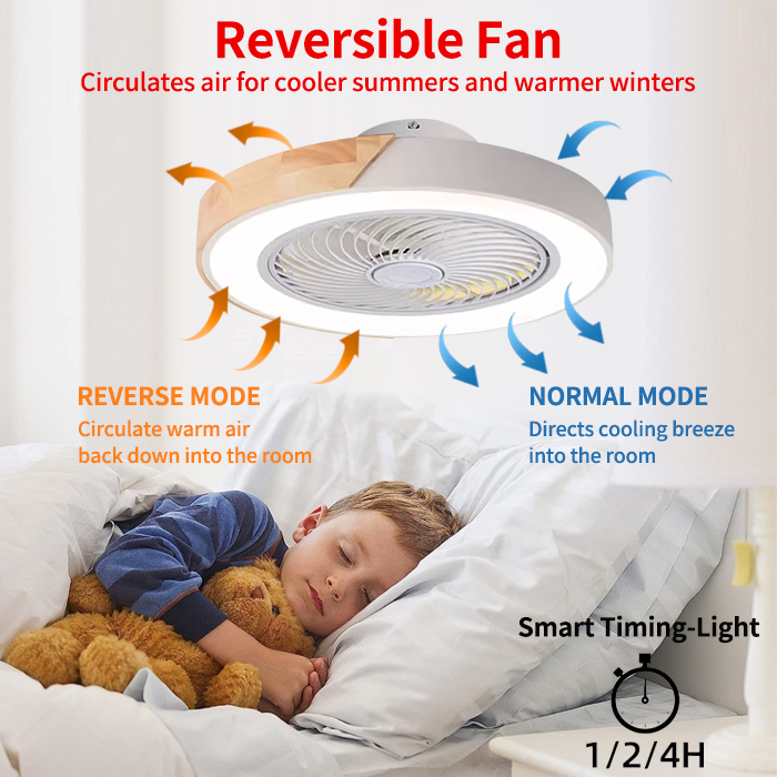 Bedroom ceiling fan light, int - Smart Ceiling Fan avis et prix