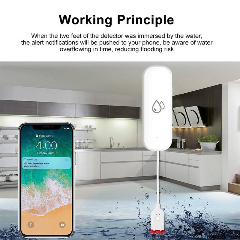 Tuya WiFi Water Leakage Alarm  - Smart Home Web avis et prix