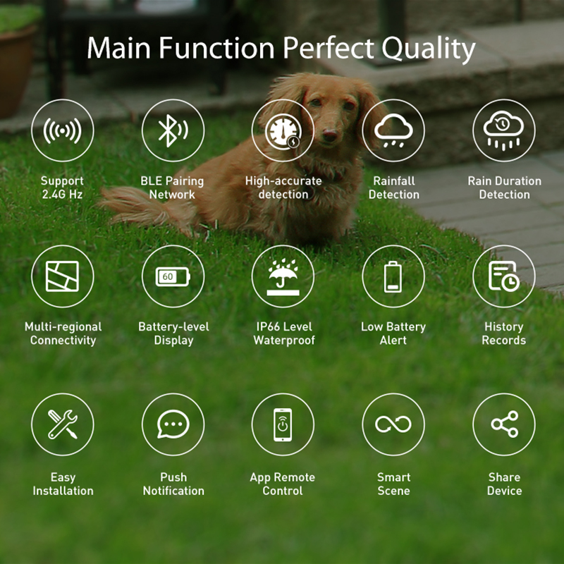 WiFi Rain Sensor Rainfall Dura - Smart Home Web avis et prix