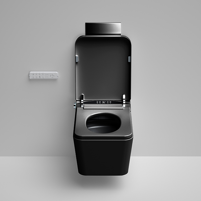 Home Ceramic Bidet Smart Toile - Smart Home Remote Control avis et prix