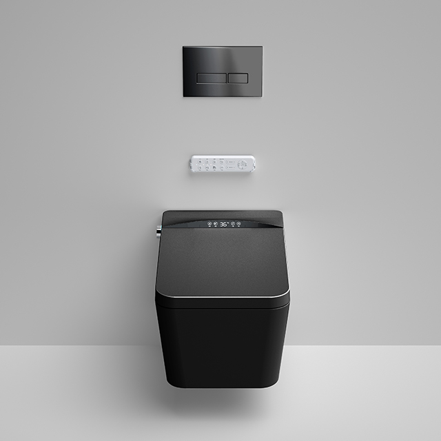 Home Ceramic Bidet Smart Toile - Smart Home Remote Control avis et prix