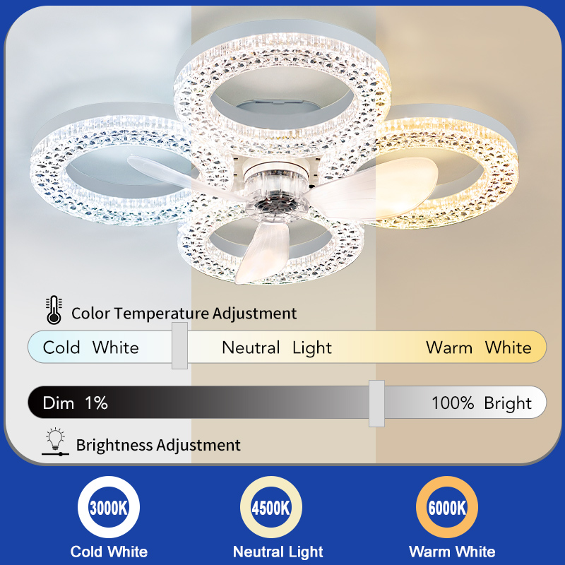 Modern Ceiling Fan with Light  - Smart Ceiling Fan avis et prix