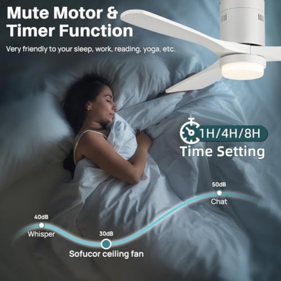 52 Inch Smart Ceiling Fan with - Smart Ceiling Fan avis et prix