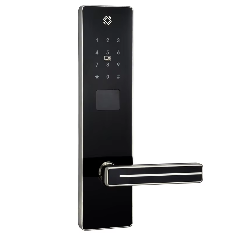 Keyless Keypad Entry Smart Doo - Smart Home Door Lock avis et prix