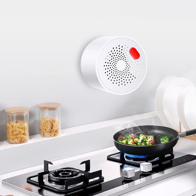 Tuya Smart Home Wifi Natural G - Smart Home Web avis et prix