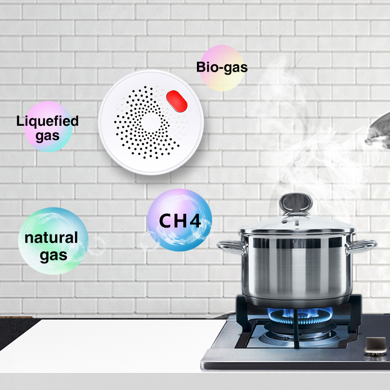 Tuya Smart Home Wifi Natural G - Smart Home Web avis et prix
