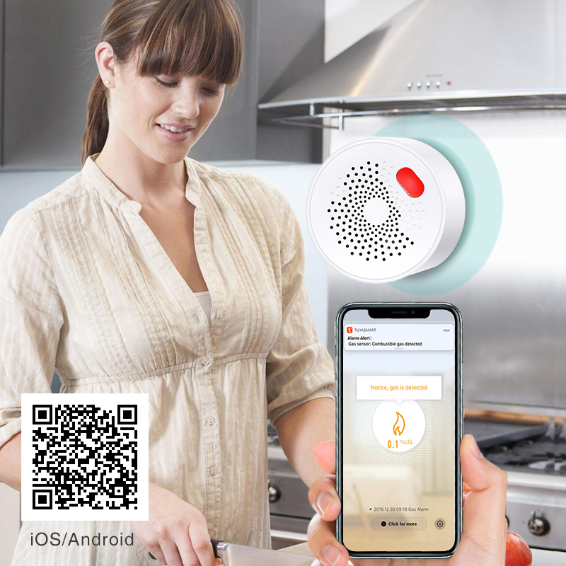Tuya Smart Home Wifi Natural G - Smart Home Web avis et prix